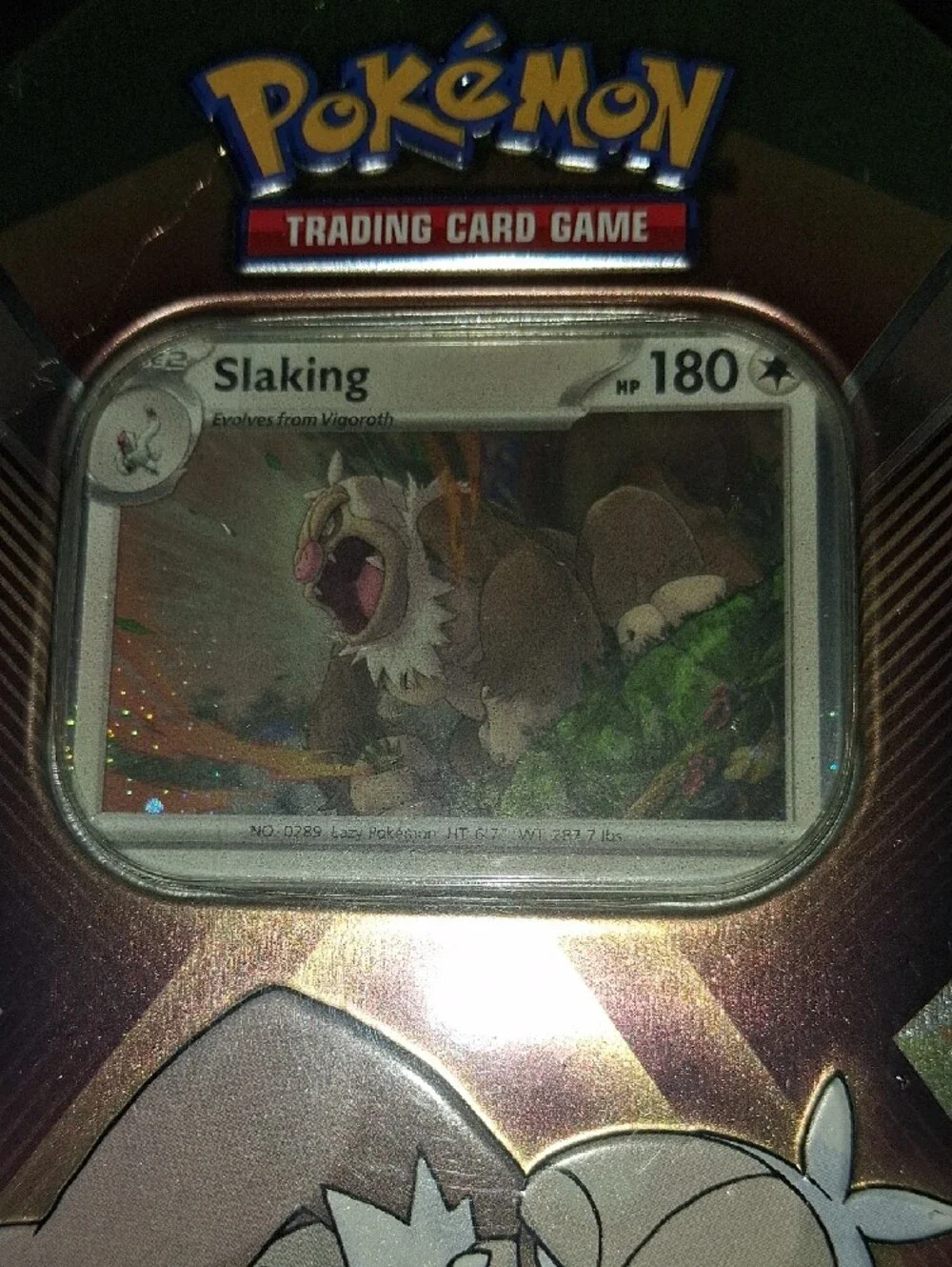 Slaking Trading Card Tin - Brown